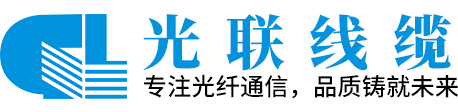 湖南光联光电科技有限公司